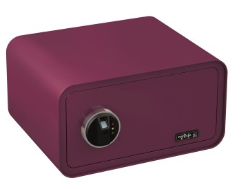 mySafe 450 Fingerprint beere Aktion